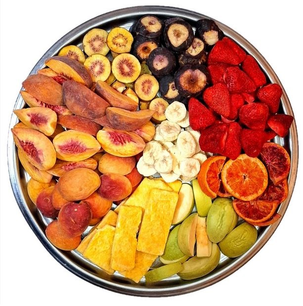 freeze dry فریزدرایر freeze dryer6