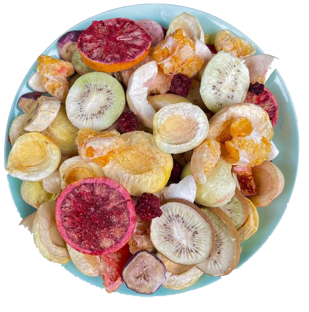 freeze-dry-فریزدرایر-freeze-dryer-3